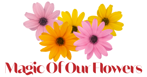 Magic Of Our Flowers